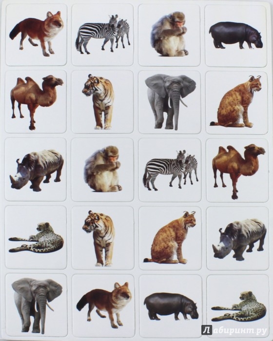 Карточки домашние дикие. Карточки животных. Карточки "Дикие животные". Карточки животные для детей. Карточки с дикими животными для детей.