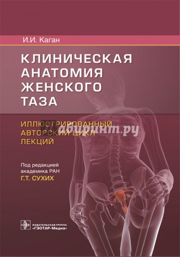 Клиническая анатомия женского таза. Иллюстрированный авторский цикл лекций