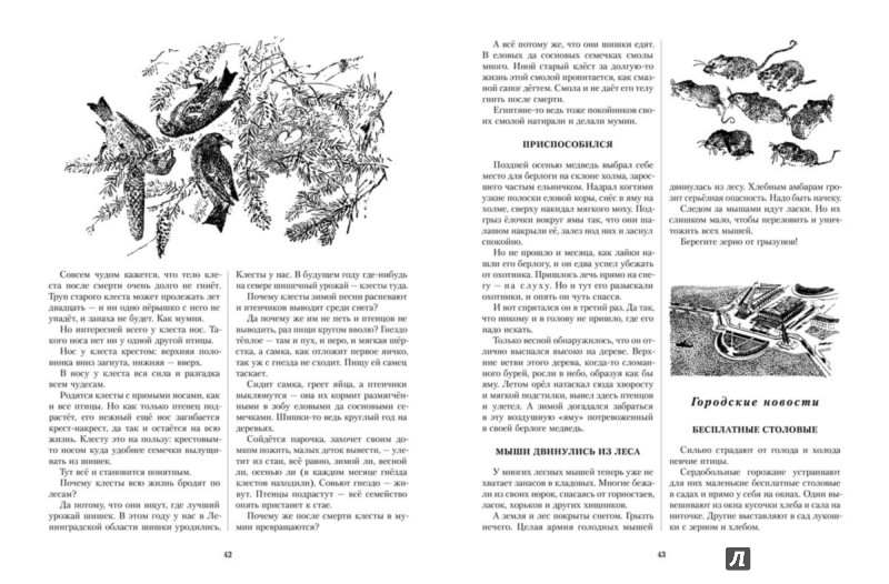 Иллюстрация 6 из 28 для Лесная газета на каждый год. Зима - Виталий Бианки | Лабиринт - книги. Источник: Лабиринт