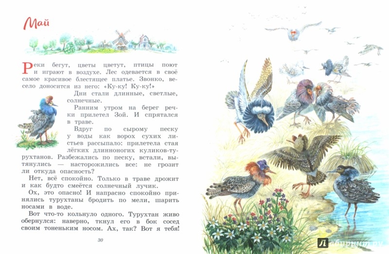 Иллюстрация 1 из 29 для Зой и Зоя. Сказки о солнечных зайчиках - Виталий Бианки | Лабиринт - книги. Источник: Лабиринт