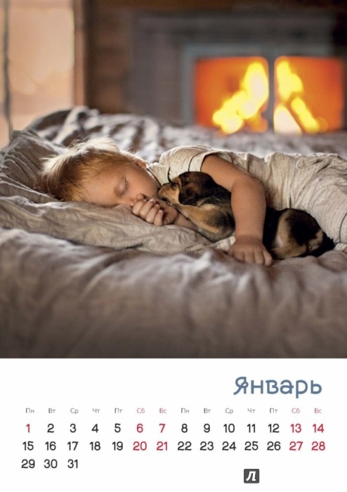 Иллюстрация 1 из 11 для Календарь на 2018 год "Любимые собаки" - Елена Шумилова | Лабиринт - сувениры. Источник: Лабиринт