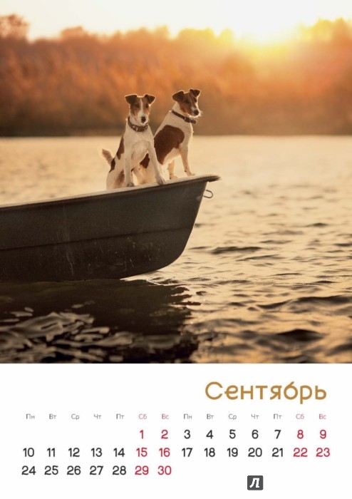 Иллюстрация 6 из 11 для Календарь на 2018 год "Любимые собаки" - Елена Шумилова | Лабиринт - сувениры. Источник: Лабиринт