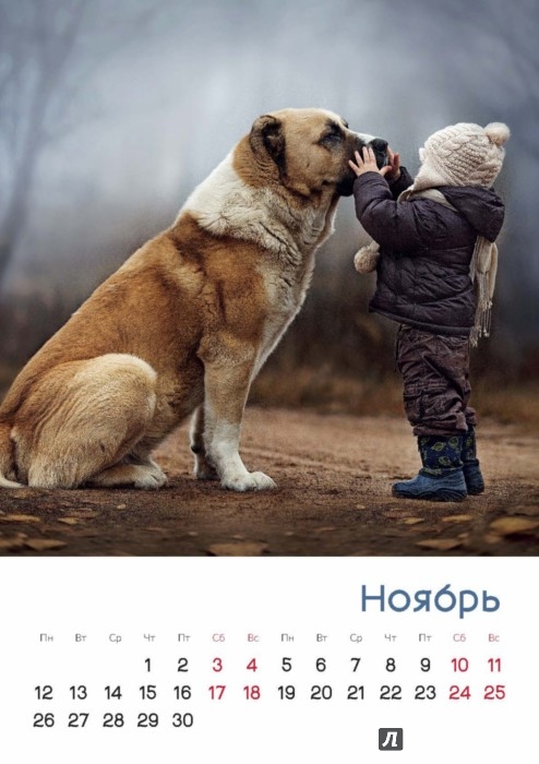 Иллюстрация 7 из 11 для Календарь на 2018 год "Любимые собаки" - Елена Шумилова | Лабиринт - сувениры. Источник: Лабиринт