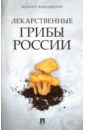 цена Вишневский Михаил Владимирович Лекарственные грибы России