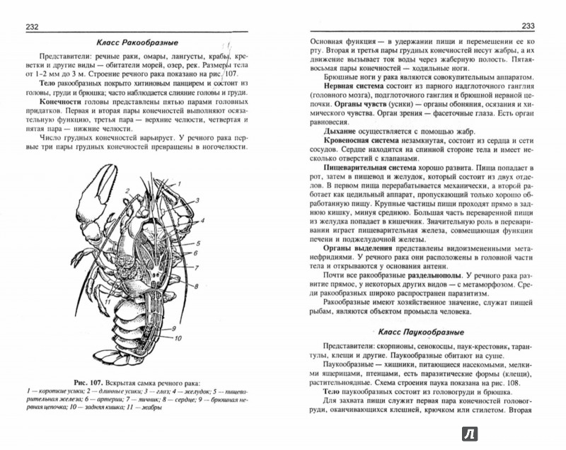 Иллюстрация 1 из 55 для Репетитор по биологии для старшеклассников и поступающих в вузы - Татьяна Шустанова | Лабиринт - книги. Источник: Лабиринт