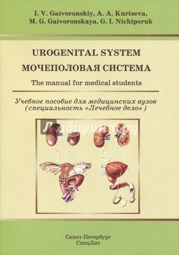 Мочеполовая система. Учебное пособие на англ.языке