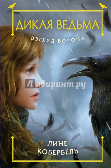 Взгляд ворона