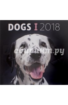 2018   Dogs2  30*30 (PGP-4749-V)