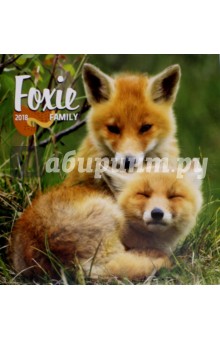 2018   Foxie Family  30*30 (PGP-5099-V)