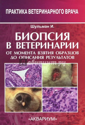 Биопсия в ветеринарии. От момента взятия образцов до описания результатов