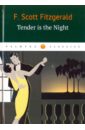 Fitzgerald Francis Scott Tender Is the Night fitzgerald francis scott tender is the night