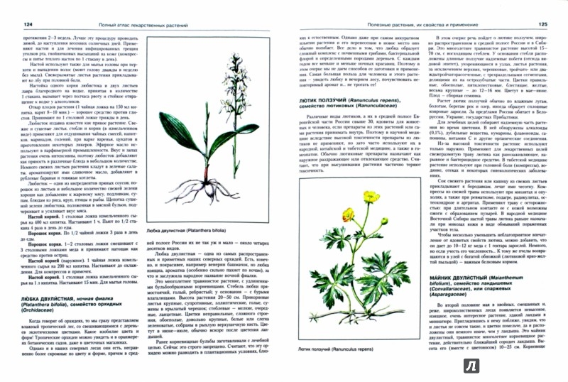 Иллюстрация 1 из 4 для Большой атлас лекарственных растений - Николай Сафонов | Лабиринт - книги. Источник: Лабиринт