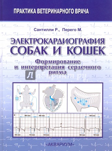 Электрокардиография собак и кошек. Формирование и интерпретация сердечного ритма