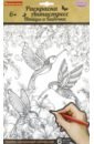 Набор раскрасок антистресс Птицы и Бабочки бабочки и птицы