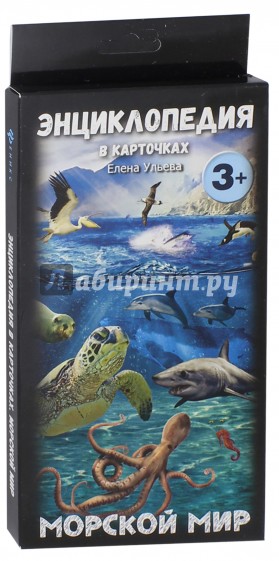 Морской мир