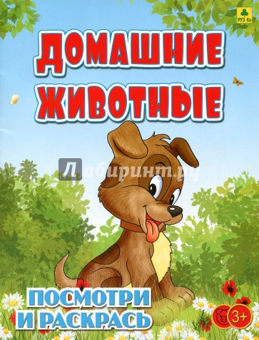 Домашние животные. Детская раскраска