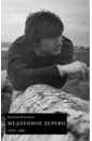 Касимов Евгений Петрович Медленное дерево. 1976-1981 барышников в прошлый век сборник стихов