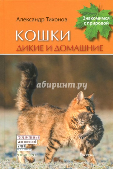 Кошки дикие и домашние