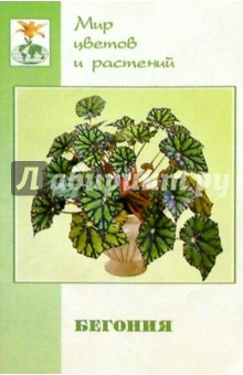 Обложка книги Бегония (Begonia). Семейство - бегониевые, Жадько Елена Григорьевна