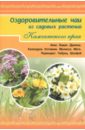 Обложка Оздоровительные чаи из садовых растений Камчатского края