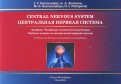 Центральная нервная система. Рабочая тетрадь к учебному пособию (на английском языке)