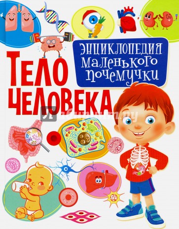 Тело человека. Энциклопедия маленького почемучки