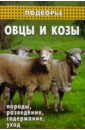 Коваленко Петр Игоревич Овцы и козы: породы, разведение, содержание, уход козы овцы