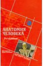 Анатомия человека для студентов вузов и колледжей - Швырев Александр Андреевич