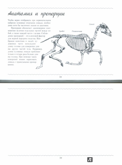 Иллюстрация 1 из 21 для Рисуем лошадей. Альбом для скетчинга | Лабиринт - книги. Источник: Лабиринт