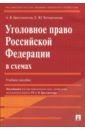 Бриллиантов Александр Владимирович, Четвертакова Елизавета Юрьевна Уголовное право Российской Федерации в схемах бриллиантов а четвертакова е уголовное право российской федерации в схемах учебное пособие