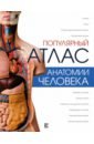 Популярный атлас анатомии человека - Палычева Любовь Николаевна, Лазарев Николай Васильевич