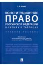 Конституционное право Российской Федерации в схемах и таблицах. Учебное пособие - Абаева Елена Анатольевна