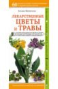 Митителло Ксения Борисовна Лекарственные цветы и травы. Наглядный карманный определитель