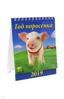 Календарь настольный на 2019 год 