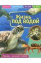 энциклопедия что там под водой 110 окошек Детская энциклопедия. Жизнь под водой