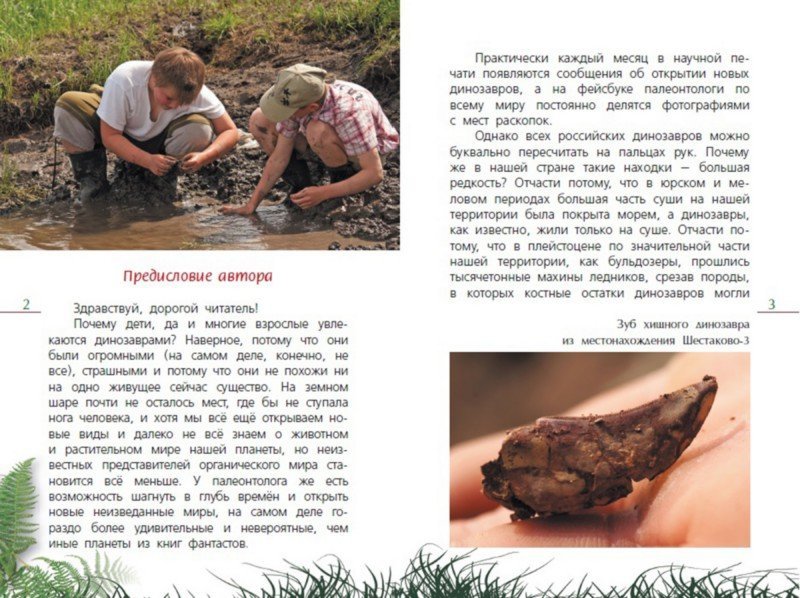 Иллюстрация 1 из 6 для Как откопать своего динозавра - Дмитрий Григорьев | Лабиринт - книги. Источник: Лабиринт