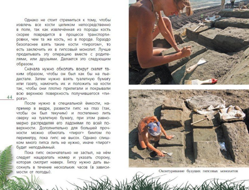 Иллюстрация 5 из 6 для Как откопать своего динозавра - Дмитрий Григорьев | Лабиринт - книги. Источник: Лабиринт