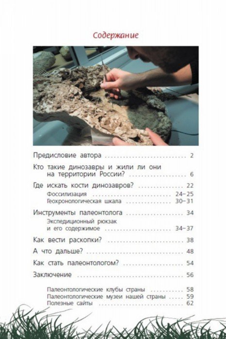 Иллюстрация 6 из 6 для Как откопать своего динозавра - Дмитрий Григорьев | Лабиринт - книги. Источник: Лабиринт