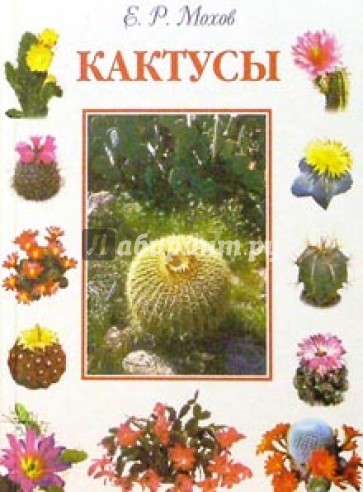 Кактусы