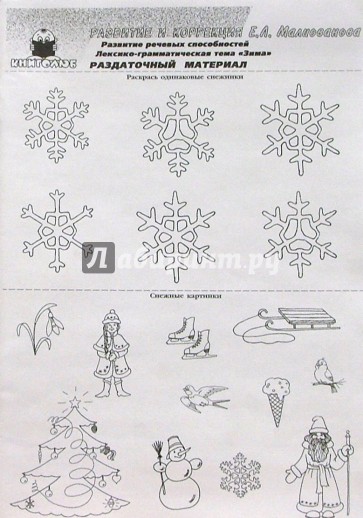 Развитие речевых способностей. Лексико-грамматическая тема "Зима". Раздаточный материал