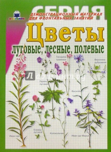 Цветы луговые, лесные, полевые. Демонстрационный материал для фронтальных занятий