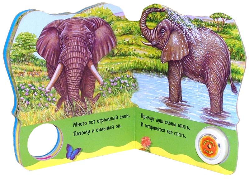Книга слоновые. Книги про слонов. Книги про слонов для детей. Лабиринт слон. Слон с книгой.