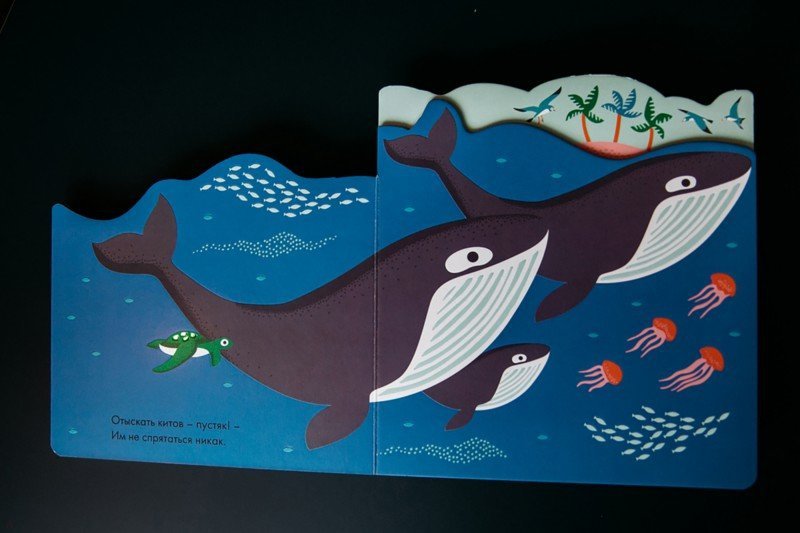 Иллюстрация 5 из 6 для Прятки в океане | Лабиринт - книги. Источник: Лабиринт