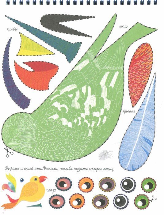 Иллюстрация 2 из 6 для Моя удивительная коллекция. Перышко и Ко - Изабель Симлер | Лабиринт - книги. Источник: Лабиринт