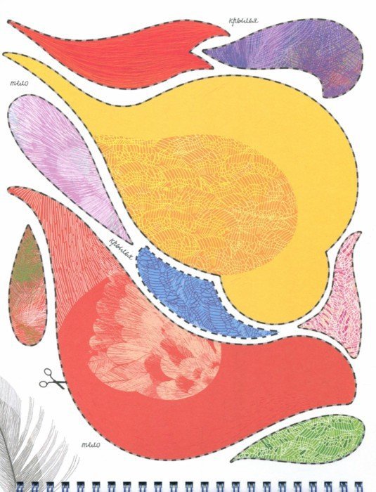 Иллюстрация 5 из 6 для Моя удивительная коллекция. Перышко и Ко - Изабель Симлер | Лабиринт - книги. Источник: Лабиринт