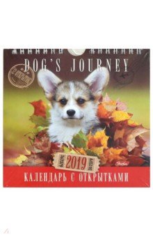 -  2019    Dog s  (125_18706)