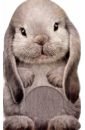 Обложка Furry Bunny