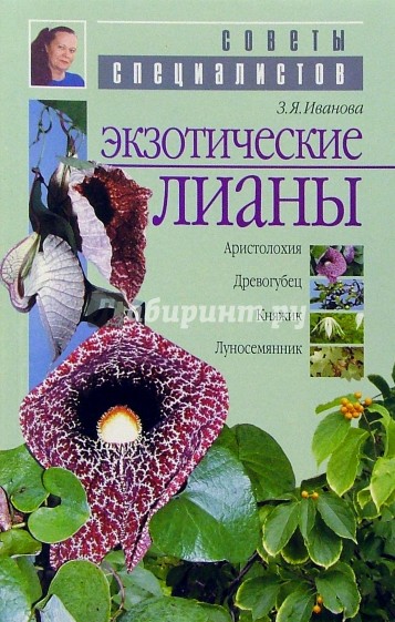 Экзотические лианы (аристолохия, древогубец, княжик, луносемянник)