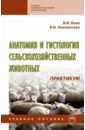 Анатомия и гистология сельскохозяйственных животных. Практикум. Учебное пособие - Боев Вячеслав Иванович, Писменская Валентина Николаевна