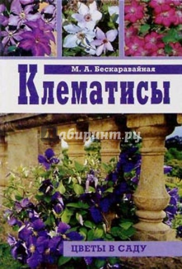 Клематисы